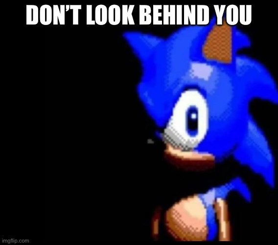 . | DON’T LOOK BEHIND YOU | image tagged in sonic stares | made w/ Imgflip meme maker