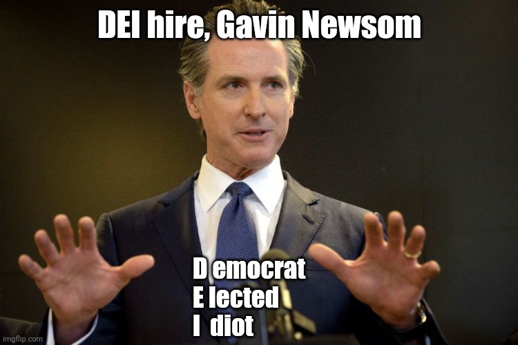 Gov. Gavin Newsom | DEI hire, Gavin Newsom D emocrat
E lected
I  diot | image tagged in gov gavin newsom | made w/ Imgflip meme maker