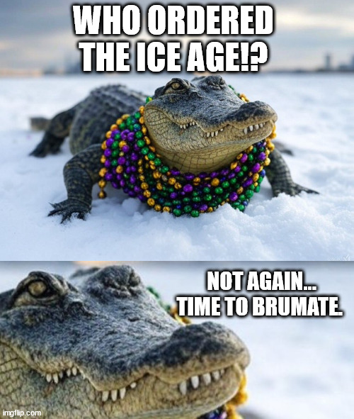 Who Ordered the Ice Age!? | WHO ORDERED THE ICE AGE!? NOT AGAIN...  TIME TO BRUMATE. | image tagged in alligator snow | made w/ Imgflip meme maker
