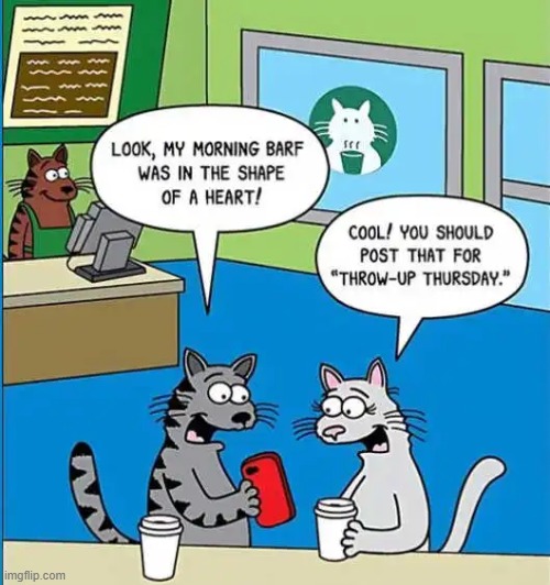 Throw-Up Thursday | image tagged in cats,cat humor,thursday | made w/ Imgflip meme maker