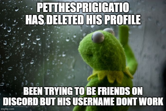 Mod note: HER. Pet is a she. | PETTHESPRIGIGATIO HAS DELETED HIS PROFILE; BEEN TRYING TO BE FRIENDS ON DISCORD BUT HIS USERNAME DONT WORK | image tagged in kermit window | made w/ Imgflip meme maker