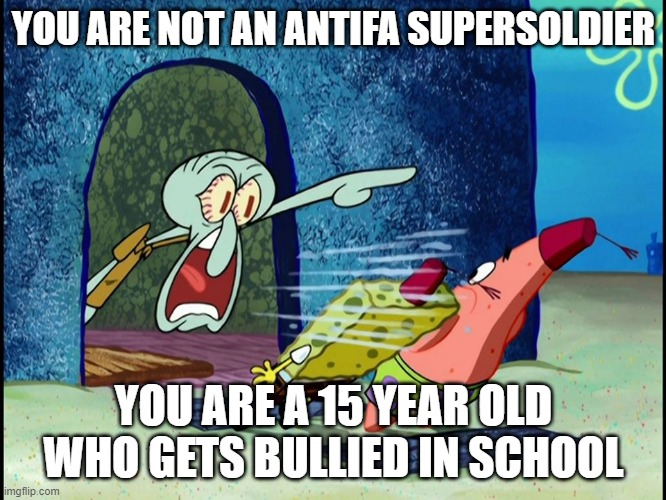 Squidward Screaming | YOU ARE NOT AN ANTIFA SUPERSOLDIER; YOU ARE A 15 YEAR OLD WHO GETS BULLIED IN SCHOOL | image tagged in squidward screaming | made w/ Imgflip meme maker