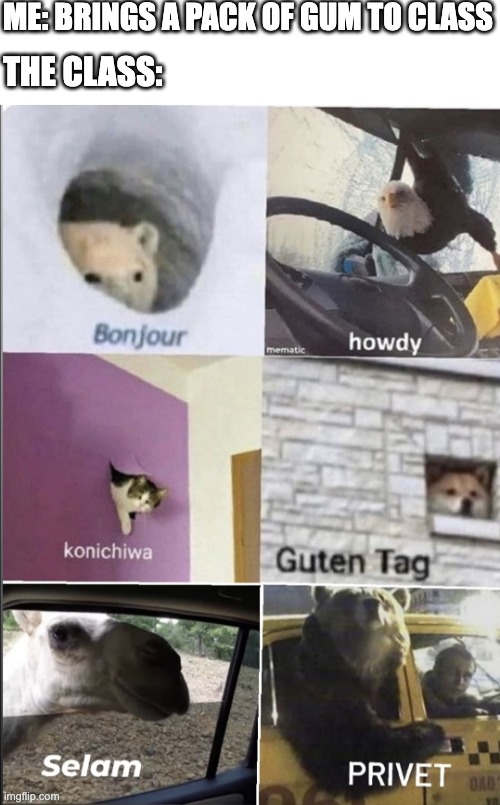 Bonjour howdy konichiwa guten tag Selam privet | ME: BRINGS A PACK OF GUM TO CLASS; THE CLASS: | image tagged in bonjour howdy konichiwa guten tag selam privet | made w/ Imgflip meme maker