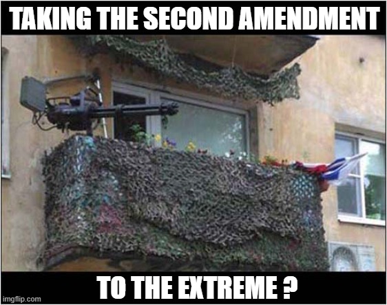 That's A God D*mn Minigun ! | TAKING THE SECOND AMENDMENT; TO THE EXTREME ? | image tagged in second amendment,minigun,insanity,dark humour | made w/ Imgflip meme maker