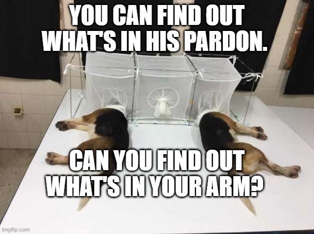 Anthony Fauci Loves Dogs and People | YOU CAN FIND OUT WHAT'S IN HIS PARDON. CAN YOU FIND OUT WHAT'S IN YOUR ARM? | image tagged in anthony fauci loves dogs and people | made w/ Imgflip meme maker