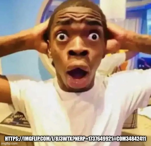 Shocked black guy | HTTPS://IMGFLIP.COM/I/8J3WTX?NERP=1737649921#COM34842411 | image tagged in shocked black guy | made w/ Imgflip meme maker