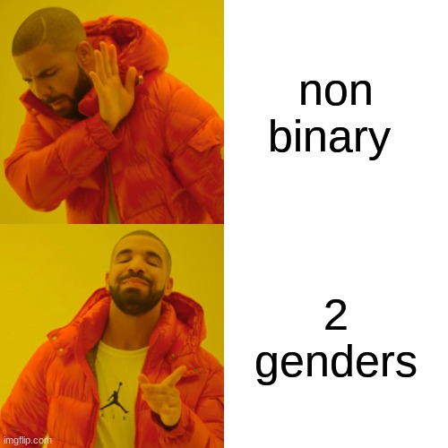 non binary 2 genders | image tagged in memes,drake hotline bling | made w/ Imgflip meme maker