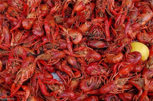 Crawfish | image tagged in crawfish | made w/ Imgflip meme maker