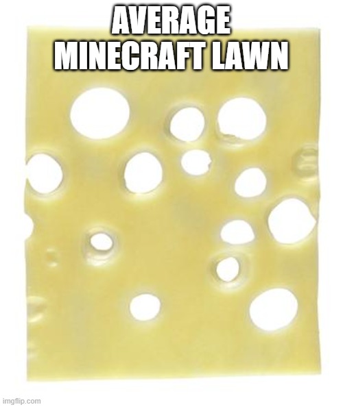 Swiss cheese | AVERAGE MINECRAFT LAWN | image tagged in swiss cheese | made w/ Imgflip meme maker