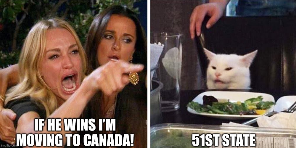 51st State | IF HE WINS I’M MOVING TO CANADA! 51ST STATE | image tagged in smudge the cat | made w/ Imgflip meme maker