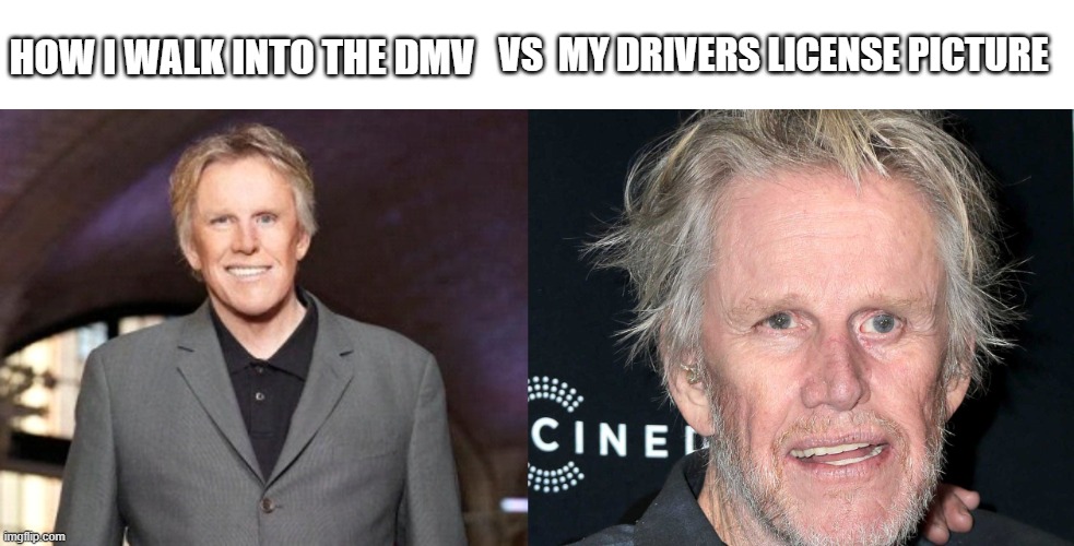 drivers license photo | VS  MY DRIVERS LICENSE PICTURE; HOW I WALK INTO THE DMV | image tagged in gary busey,license,dmv,how my day is going | made w/ Imgflip meme maker