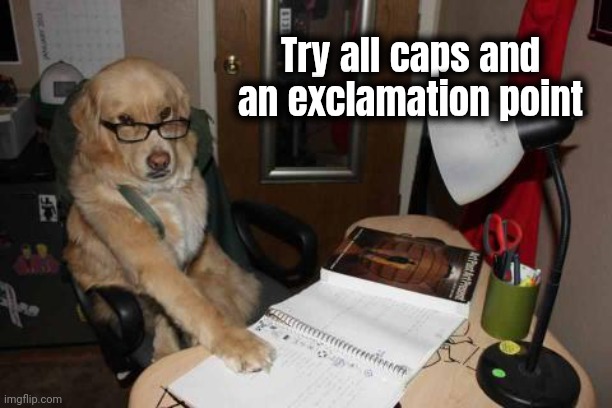 Financial Advise Dog | Try all caps and an exclamation point | image tagged in financial advise dog | made w/ Imgflip meme maker