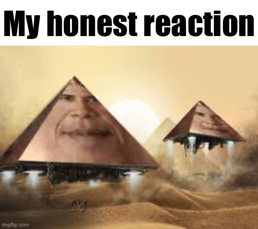 My honest reaction | My honest reaction | image tagged in msmg,obama | made w/ Imgflip meme maker