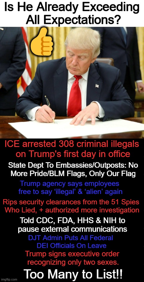 Alpha Male Takes Back America | Is He Already Exceeding 
All Expectations? 👍; ICE arrested 308 criminal illegals 
on Trump's first day in office; State Dept To Embassies/Outposts: No 
More Pride/BLM Flags, Only Our Flag; Trump agency says employees 

free to say ‘illegal’ & ‘alien’ again; Rips security clearances from the 51 Spies 
Who Lied, + authorized more investigation; Told CDC, FDA, HHS & NIH to 
pause external communications; DJT Admin Puts All Federal 
DEI Officials On Leave; Trump signs executive order 
recognizing only two sexes. Too Many to List!! | image tagged in donald trump signing documents,djt,accomplishment,make america great again,righting the wrongs,winning | made w/ Imgflip meme maker