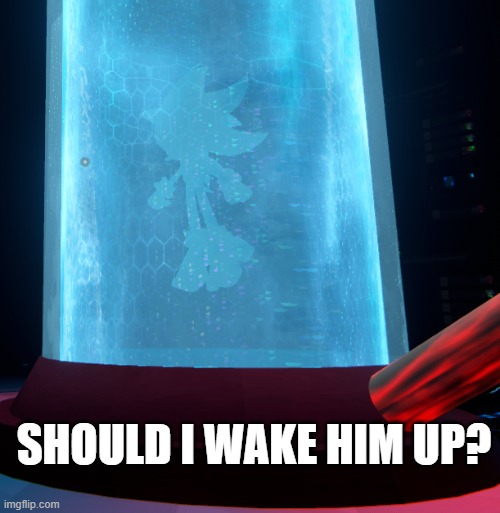 Silver wants to wake Shadow | SHOULD I WAKE HIM UP? | image tagged in sonic the hedgehog,sonic,shadow the hedgehog | made w/ Imgflip meme maker