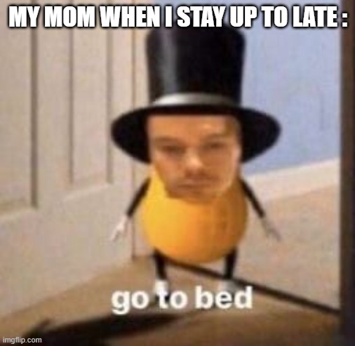 go to bed | MY MOM WHEN I STAY UP TO LATE : | image tagged in go to bed | made w/ Imgflip meme maker