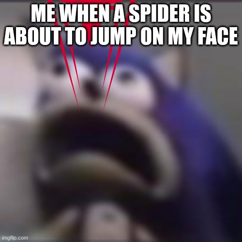 spider... | ME WHEN A SPIDER IS ABOUT TO JUMP ON MY FACE | image tagged in distress | made w/ Imgflip meme maker