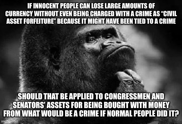 thinking monkey | IF INNOCENT PEOPLE CAN LOSE LARGE AMOUNTS OF CURRENCY WITHOUT EVEN BEING CHARGED WITH A CRIME AS “CIVIL ASSET FORFEITURE” BECAUSE IT MIGHT HAVE BEEN TIED TO A CRIME; SHOULD THAT BE APPLIED TO CONGRESSMEN AND SENATORS’ ASSETS FOR BEING BOUGHT WITH MONEY FROM WHAT WOULD BE A CRIME IF NORMAL PEOPLE DID IT? | image tagged in thinking monkey | made w/ Imgflip meme maker