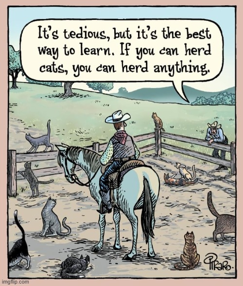 Finding  Use for Cats in the Old West | image tagged in vince vance,cats,herding cats,funny cat memes,cowboy,ranching | made w/ Imgflip meme maker