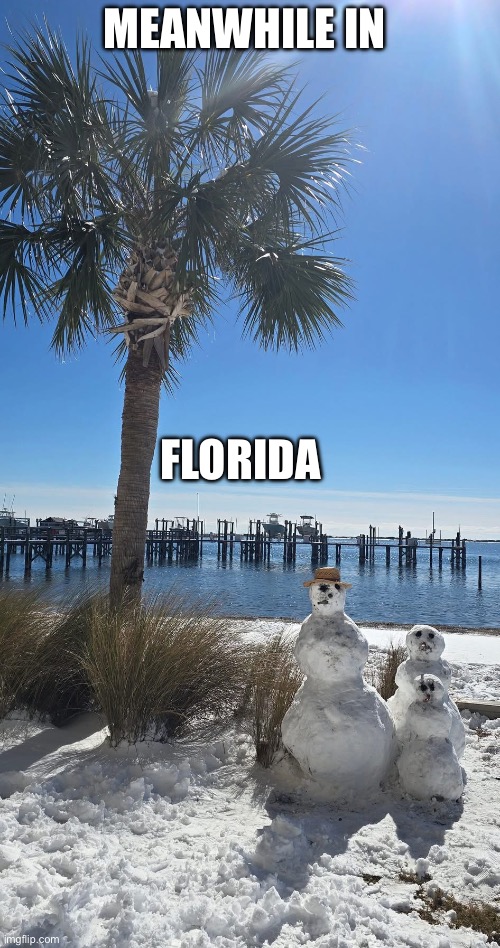 Florida snow | MEANWHILE IN; FLORIDA | image tagged in funny memes | made w/ Imgflip meme maker