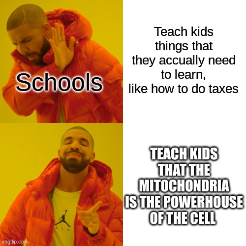 Have a good day! | Teach kids things that they accually need to learn, like how to do taxes; Schools; TEACH KIDS THAT THE MITOCHONDRIA IS THE POWERHOUSE OF THE CELL | image tagged in memes,school,fun,funny | made w/ Imgflip meme maker