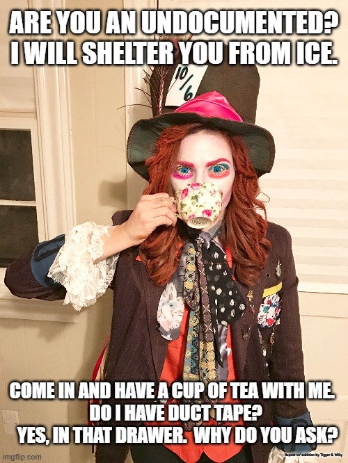 MADHATTER LIBERAL | ARE YOU AN UNDOCUMENTED?  I WILL SHELTER YOU FROM ICE. COME IN AND HAVE A CUP OF TEA WITH ME.  
DO I HAVE DUCT TAPE?  YES, IN THAT DRAWER.  WHY DO YOU ASK? Repost w/ addition by Tigger & Willy | made w/ Imgflip meme maker
