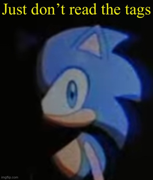 Sonic Side Eye | Just don’t read the tags | image tagged in why are you reading this,i told you,anal sex,vore,invisible woman,sexy women | made w/ Imgflip meme maker