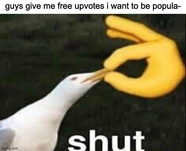 SHUT | guys give me free upvotes i want to be popula- | image tagged in shut | made w/ Imgflip meme maker