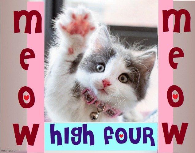 Me + Ow = Meow! | image tagged in vince vance,cats,high,four,high five,funny cat memes | made w/ Imgflip meme maker