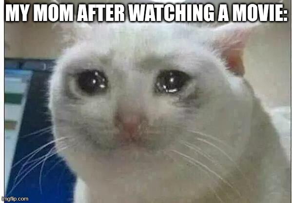 It's okay to cry... | MY MOM AFTER WATCHING A MOVIE: | image tagged in crying cat | made w/ Imgflip meme maker