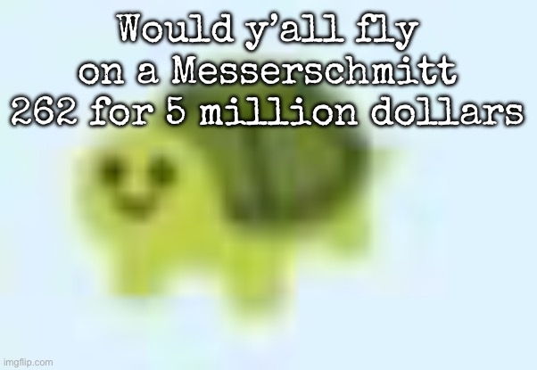 low quality turtle | Would y’all fly on a Messerschmitt 262 for 5 million dollars | image tagged in low quality turtle,msmg | made w/ Imgflip meme maker