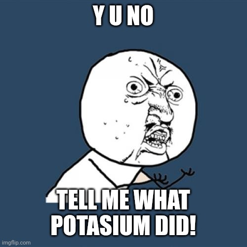 me being clueless as always | Y U NO; TELL ME WHAT POTASIUM DID! | image tagged in memes,y u no | made w/ Imgflip meme maker