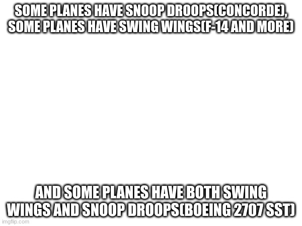 SOME PLANES HAVE SNOOP DROOPS(CONCORDE), SOME PLANES HAVE SWING WINGS(F-14 AND MORE); AND SOME PLANES HAVE BOTH SWING WINGS AND SNOOP DROOPS(BOEING 2707 SST) | made w/ Imgflip meme maker