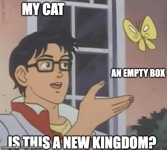 Had to pull out the AI on it | MY CAT; AN EMPTY BOX; IS THIS A NEW KINGDOM? | image tagged in is this butterfly | made w/ Imgflip meme maker