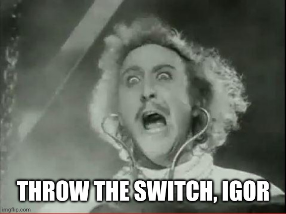 Young Frankenstein | THROW THE SWITCH, IGOR | image tagged in young frankenstein | made w/ Imgflip meme maker