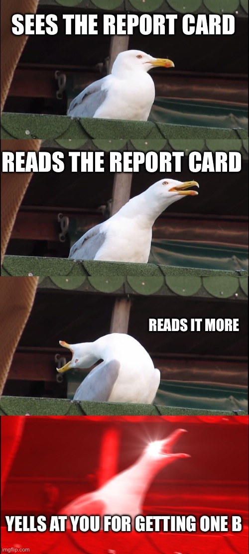 Some parents be like… ?? | SEES THE REPORT CARD; READS THE REPORT CARD; READS IT MORE; YELLS AT YOU FOR GETTING ONE B | image tagged in memes,inhaling seagull | made w/ Imgflip meme maker