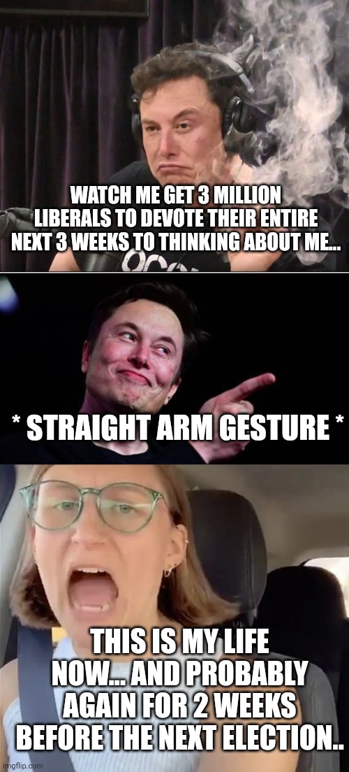 WATCH ME GET 3 MILLION LIBERALS TO DEVOTE THEIR ENTIRE NEXT 3 WEEKS TO THINKING ABOUT ME... * STRAIGHT ARM GESTURE *; THIS IS MY LIFE NOW... AND PROBABLY AGAIN FOR 2 WEEKS BEFORE THE NEXT ELECTION.. | image tagged in elon musk smoking a joint,elon musk,unhinged liberal lunatic idiot woman meltdown screaming in car | made w/ Imgflip meme maker