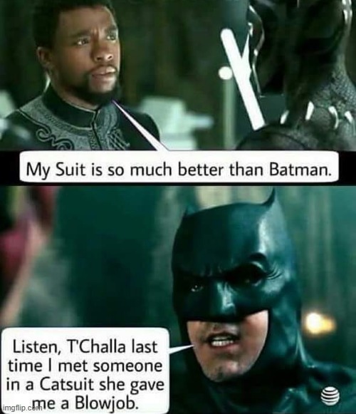 The Cat Suit | image tagged in batman,black panther | made w/ Imgflip meme maker