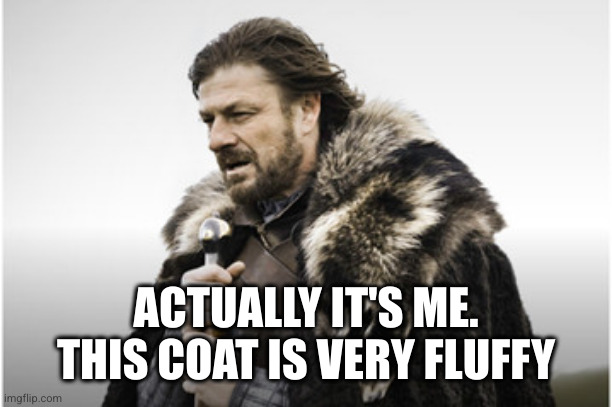 sean bean | ACTUALLY IT'S ME. THIS COAT IS VERY FLUFFY | image tagged in sean bean | made w/ Imgflip meme maker