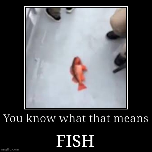 FISH | You know what that means | FISH | image tagged in funny,demotivationals,fish,you know what that means fish | made w/ Imgflip demotivational maker