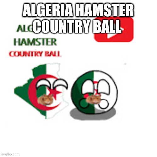 He is good | ALGERIA HAMSTER COUNTRY BALL | image tagged in algeria hamster country ball | made w/ Imgflip meme maker