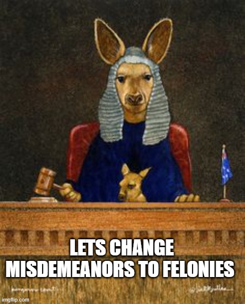 Kangaroo Court | LETS CHANGE MISDEMEANORS TO FELONIES | image tagged in kangaroo court | made w/ Imgflip meme maker