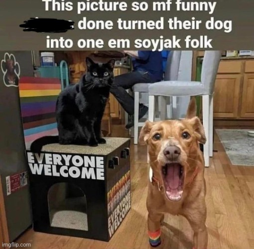 dogjak | made w/ Imgflip meme maker