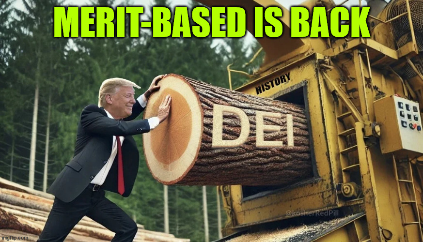 Sorry... you now have to earn it... | MERIT-BASED IS BACK | image tagged in dei,bye bye,you have to earn it | made w/ Imgflip meme maker