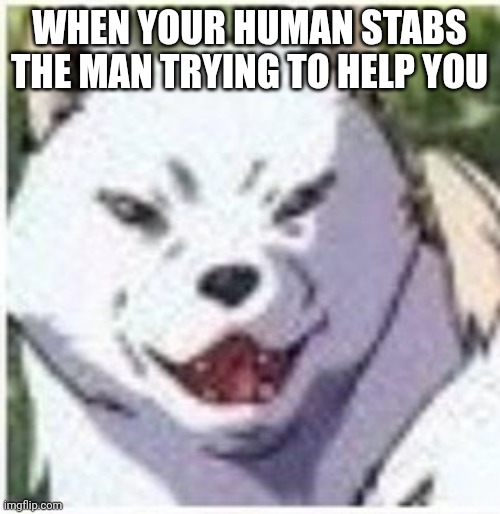 Studio ghibli. Princess Mononoke | WHEN YOUR HUMAN STABS THE MAN TRYING TO HELP YOU | image tagged in studio ghibli,princess mononoke | made w/ Imgflip meme maker