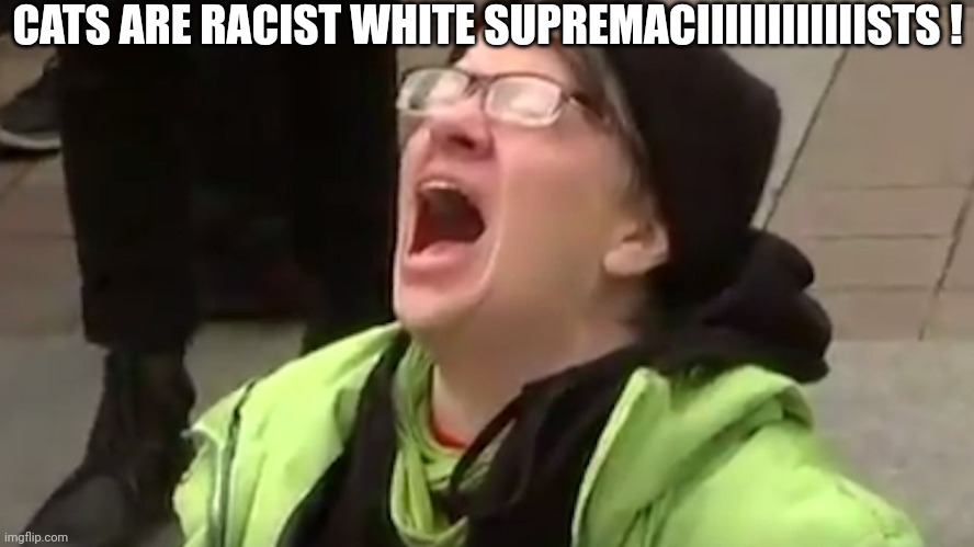 Screaming Liberal  | CATS ARE RACIST WHITE SUPREMACIIIIIIIIIIIISTS ! | image tagged in screaming liberal | made w/ Imgflip meme maker