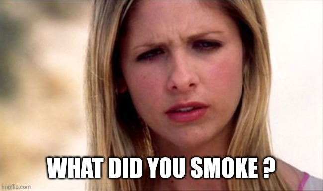 Buffy The Vampire Slayer WTF | WHAT DID YOU SMOKE ? | image tagged in buffy the vampire slayer wtf | made w/ Imgflip meme maker