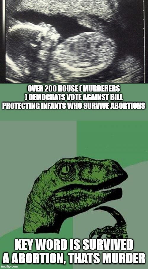 OVER 200 HOUSE ( MURDERERS ) DEMOCRATS VOTE AGAINST BILL PROTECTING INFANTS WHO SURVIVE ABORTIONS; KEY WORD IS SURVIVED A ABORTION, THATS MURDER | image tagged in memes,philosoraptor | made w/ Imgflip meme maker