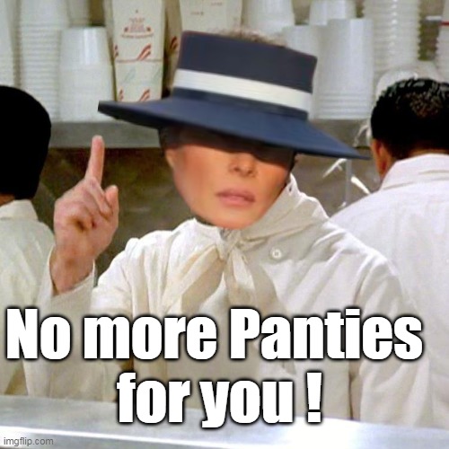 No more Panties 
for you ! | made w/ Imgflip meme maker