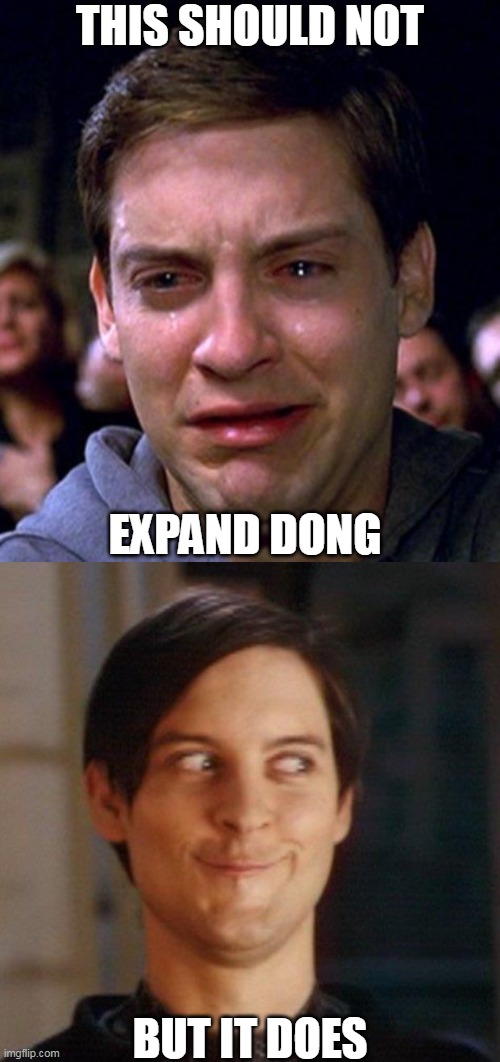 this should not expand dong | THIS SHOULD NOT; EXPAND DONG; BUT IT DOES | image tagged in crying peter parker,peter parker,spiderman,spiderman peter parker,expand dong,tobey maguire | made w/ Imgflip meme maker